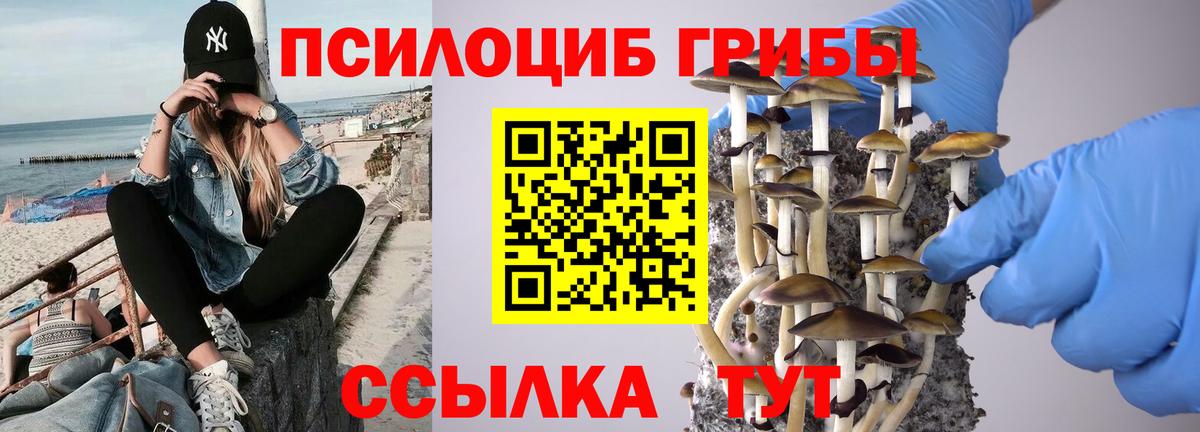 Псилоцибиновые грибы Cubensis Мыски